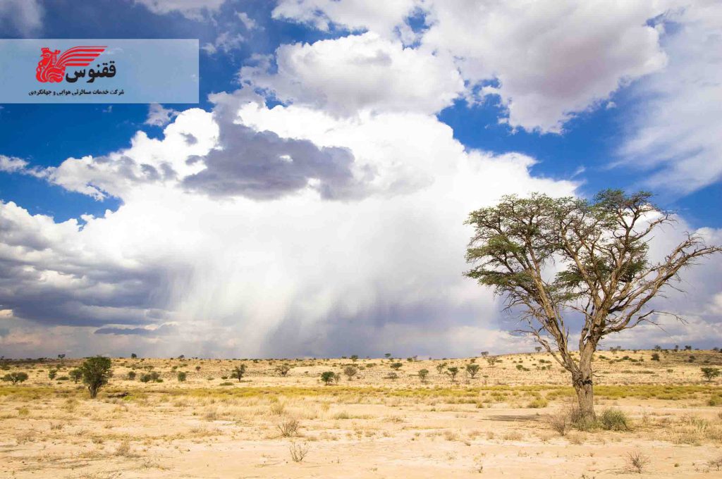 تجربه سفر به آفریقای جنوبی با ققنوس